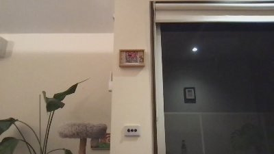 albren live cam on Cam4