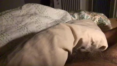 aldolecat live cam on Cam4