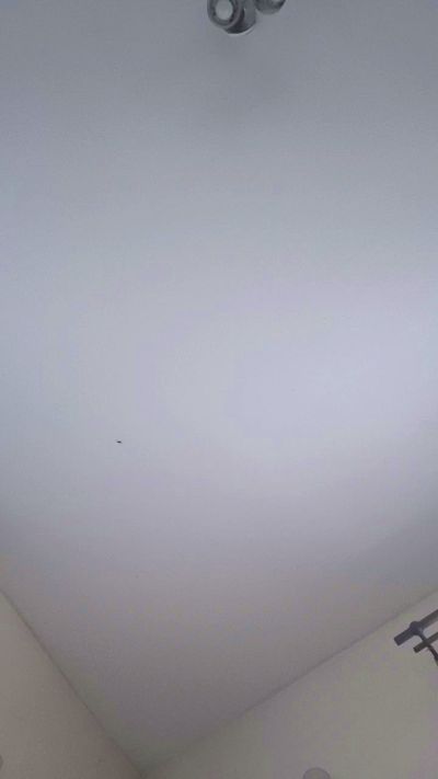 ale1234_fun live cam on Cam4