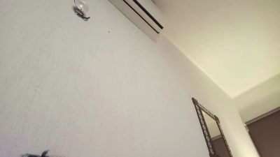 alealejandr4 live cam on Cam4