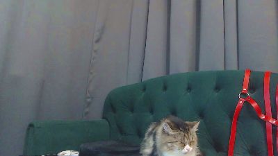 alexa_zaryanova live cam on Cam4