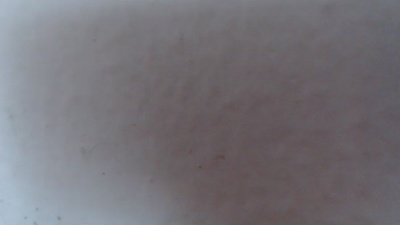 alexamdergal live cam on Cam4