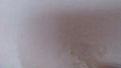 alexamdergal live cam on Cam4