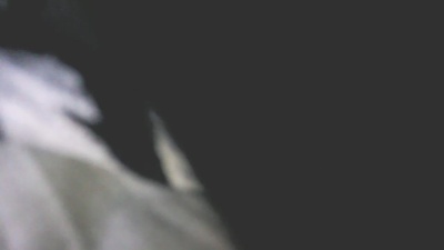 alexxxx1086 live cam on Cam4