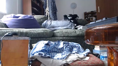 algernonwasp live cam on Cam4
