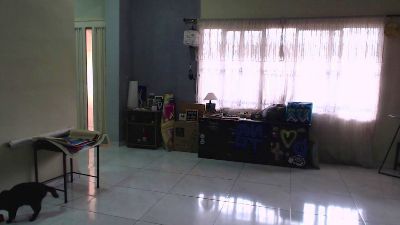 alinawoolf live cam on Cam4