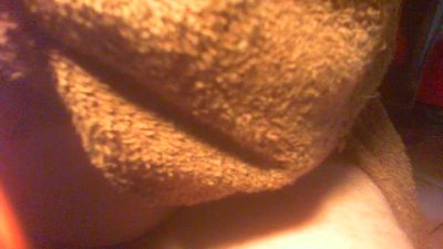 allblond1 live cam on Cam4