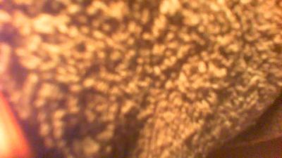 allblond1 live cam on Cam4