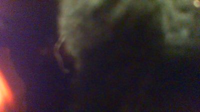 allblond1 live cam on Cam4
