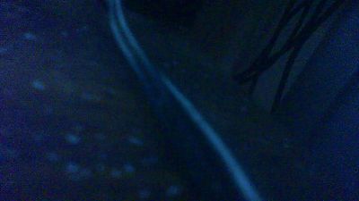 allblond1 live cam on Cam4