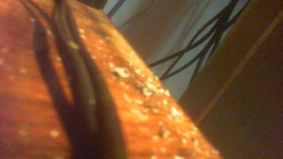 allblond1 live cam on Cam4