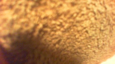 allblond1 live cam on Cam4
