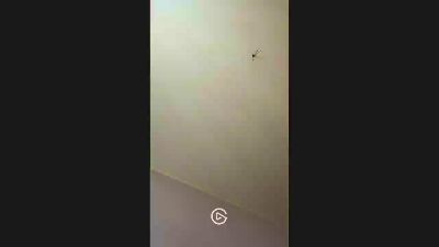 amantepiante live cam on Cam4
