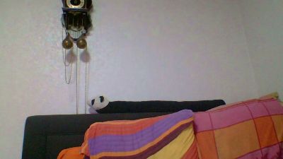 americanlady live cam on Cam4
