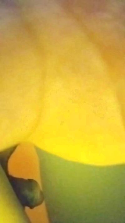 amor69xxx1 live cam on Cam4