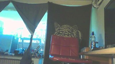 andi_pp101 live cam on Cam4