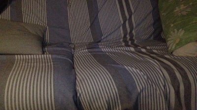 andy79d live cam on Cam4