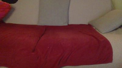 andy79d live cam on Cam4
