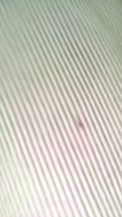 angelmontillao live cam on Cam4