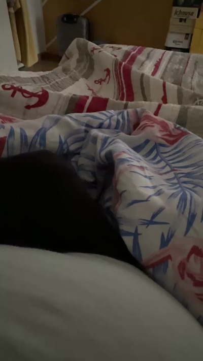 Preview of angelo1905