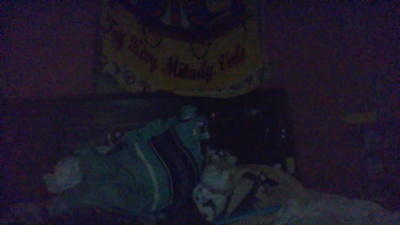 annia6 live cam on Cam4