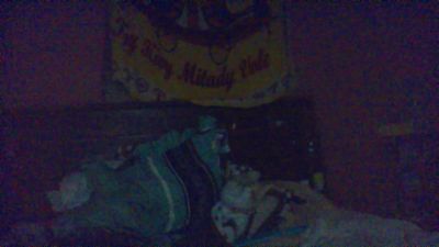 annia6 live cam on Cam4