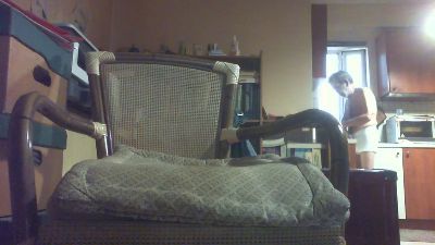 antpa803 live cam on Cam4