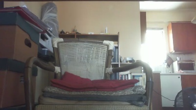 antpa803 live cam on Cam4