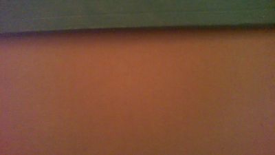 antpa803 live cam on Cam4