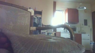 antpa803 live cam on Cam4
