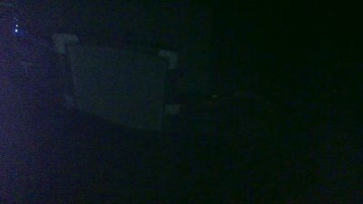 antpa803 live cam on Cam4