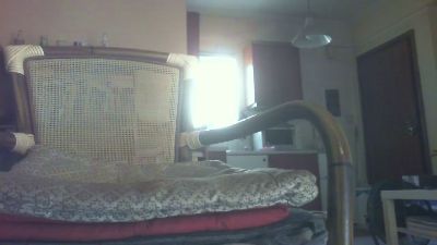 antpa803 live cam on Cam4