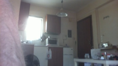 antpa803 live cam on Cam4