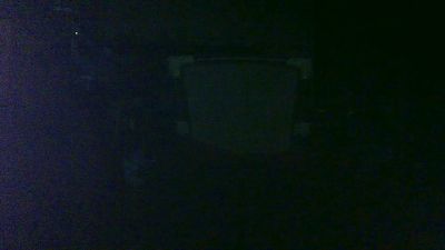 antpa803 live cam on Cam4