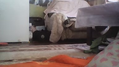 aquillius live cam on Cam4
