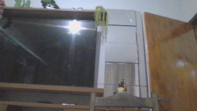 aquills live cam on Cam4