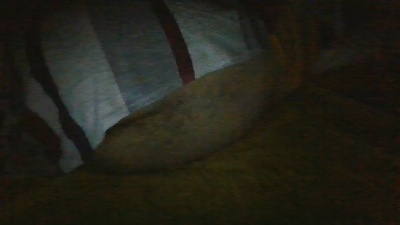 ariscomexican live cam on Cam4