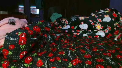 ashlygold live cam on Cam4