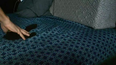 ashlygold live cam on Cam4