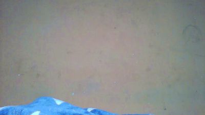 ashna1 live cam on Cam4