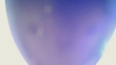 athletereese live cam on Cam4