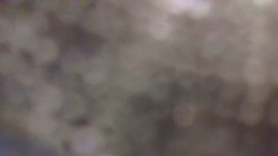 aussieobrian66 live cam on Cam4