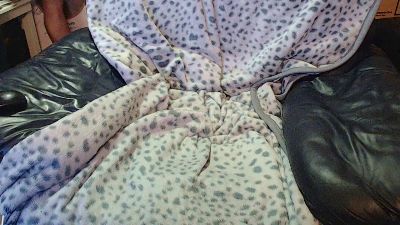 aussiesingle live cam on Cam4
