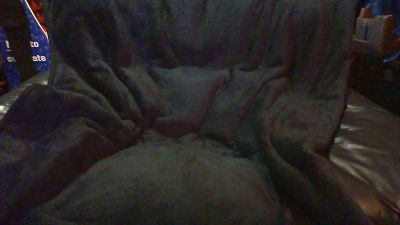 aussiesingle live cam on Cam4