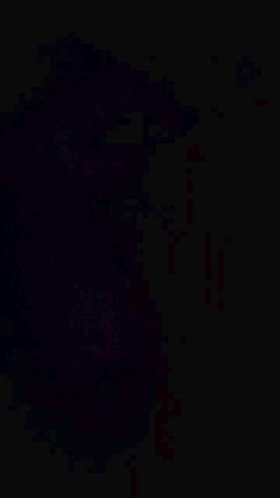 avergalindo live cam on Cam4