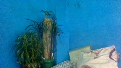 avrilas live cam on Cam4