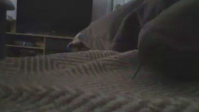 babydollxoxoxo1 live cam on Cam4