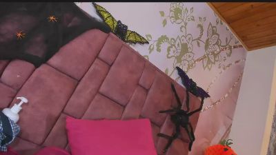 barbie_devon live cam on Cam4
