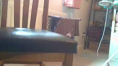 basilbrush live cam on Cam4