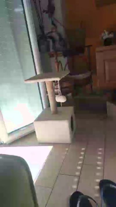 bastonxxx live cam on Cam4